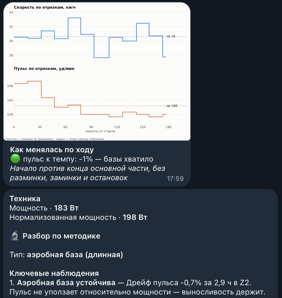 Скорость и пульс по отрезкам заезда, техника и разбор по методике