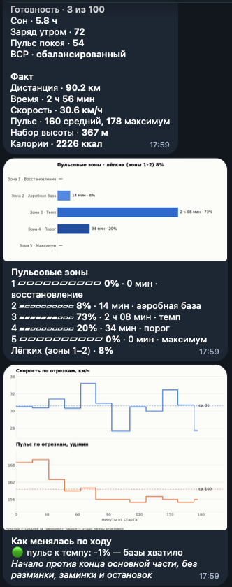 Разбор заезда: готовность, факт, пульсовые зоны, скорость и пульс по отрезкам